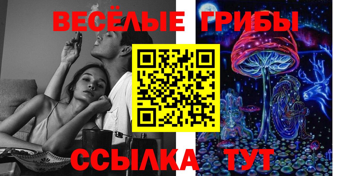 Галлюциногенные грибы Psilocybine cubensis  Вход с VPN  Удомля 